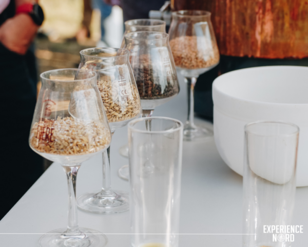 Atelier dégustation de bières