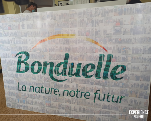 Mur MosaÏque Digital Mur MosaÏque Digital