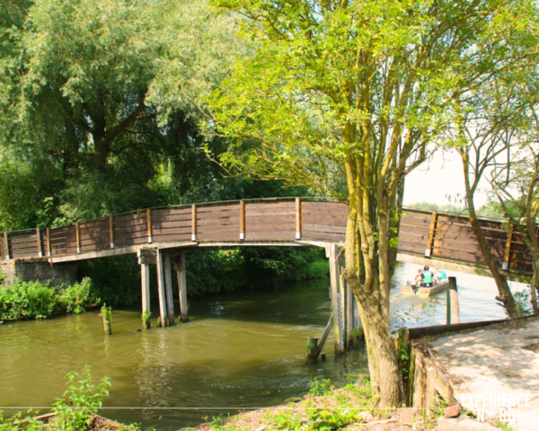 Domaine du Grand Saint-Bernard