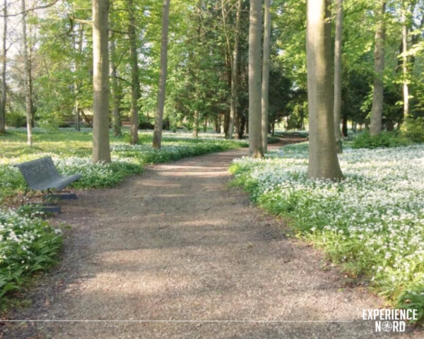 Maison des Augustines