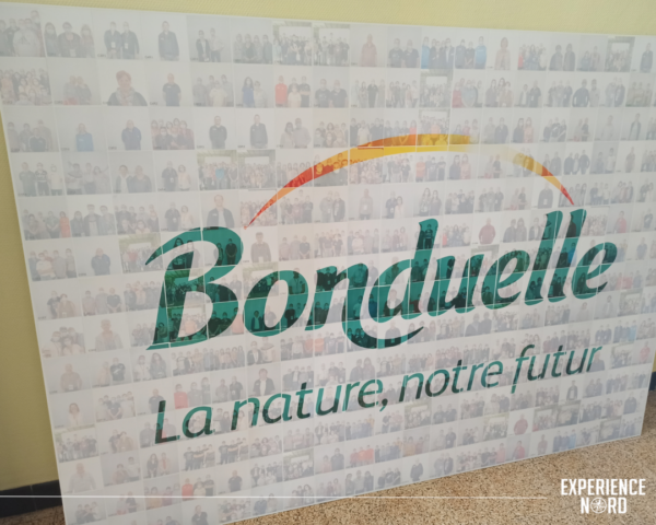 Mur MosaÏque Digital