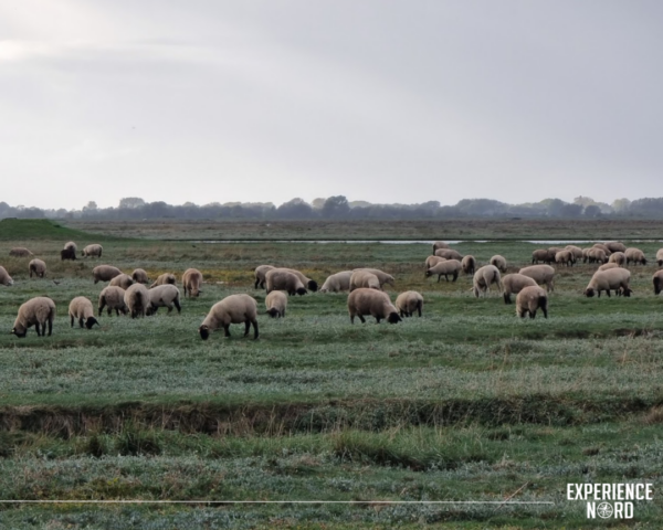 Saint-Valéry-sur-Somme